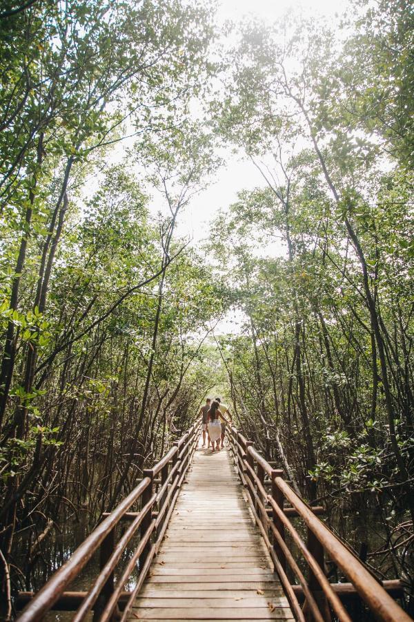 Pousada Reserva Tatuamunha Pôrto de Pedras Exterior foto